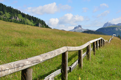 Foreground on a meadow with a long fence in Val Popena near Misurina