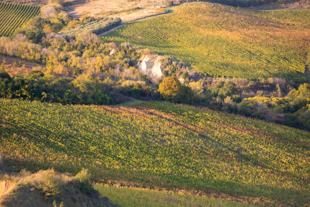 istock Vineyards and winery among hills, countryside landscape 1355807654