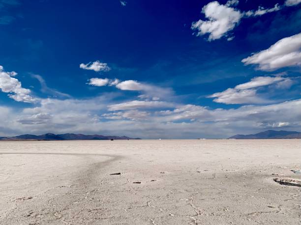 istock Salinas grandes in Argentina 1355808510