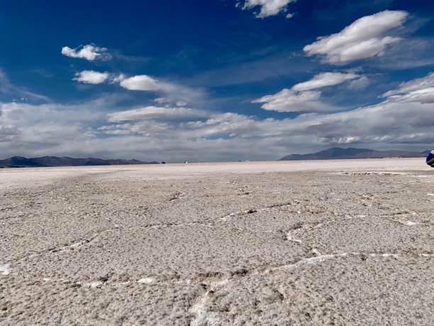 istock Salinas grandes in Argentina 1355808573