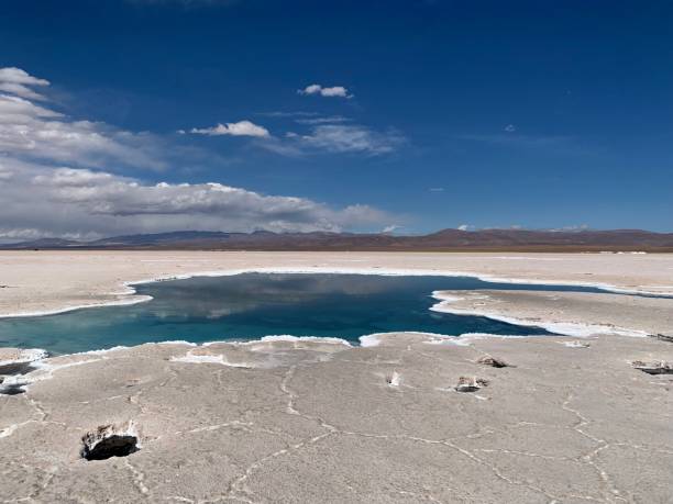 istock Salinas grandes in Argentina 1355808602