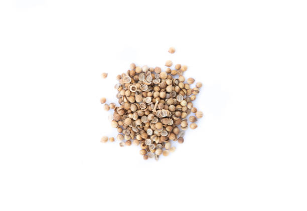 fotografii de stoc, fotografii și imagini scutite de redevențe cu semințe de coriandru izolate pe fond alb - coriander seed