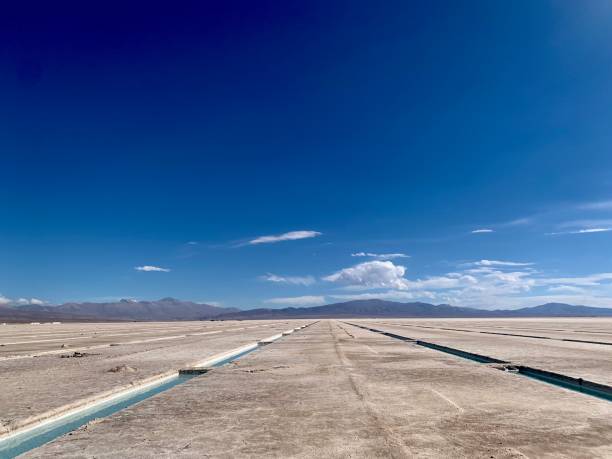 istock Salinas grandes in Argentina 1355808805