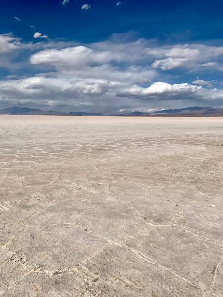 istock Salinas grandes in Argentina 1355808842