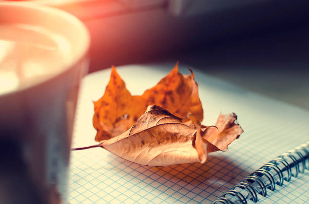 A dry maple leaf on a school notebook, next to a cup of hot cocoa. Autumn concept. Beautiful sunshine, soft focus.