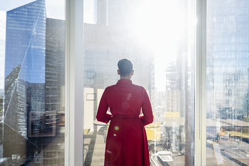 Rear perspective with lens flare of mid adult corporate professional standing in modern office and looking through window at sunny urban view.