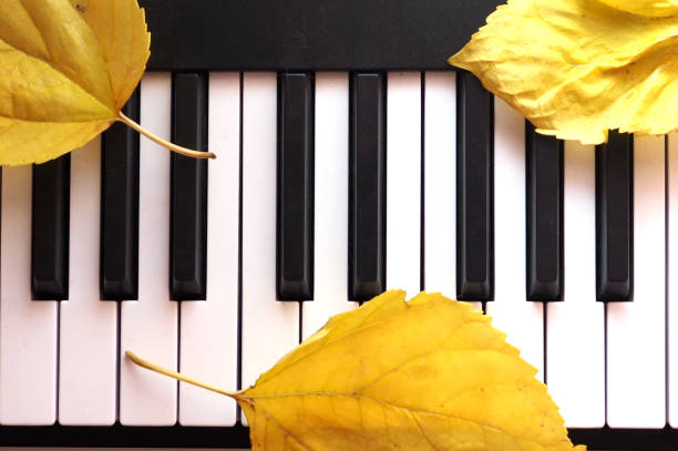 istock Yellow autumnal leaves on the piano keys 1355814802
