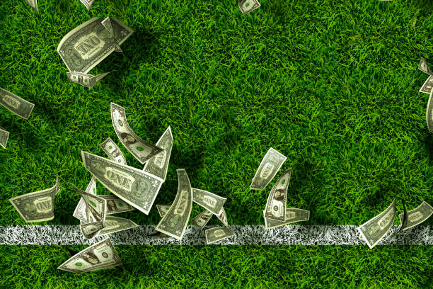 Green grass with dollar bills. Gambling thoughts. Green grass with dollar bills. Gambling thoughts. sports betting stock pictures, royalty-free photos & images