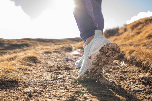 de cerca en los zapatos de mujer wile ella camina - switzerland hiking boot outdoor pursuit recreational pursuit fotografías e imágenes de stock