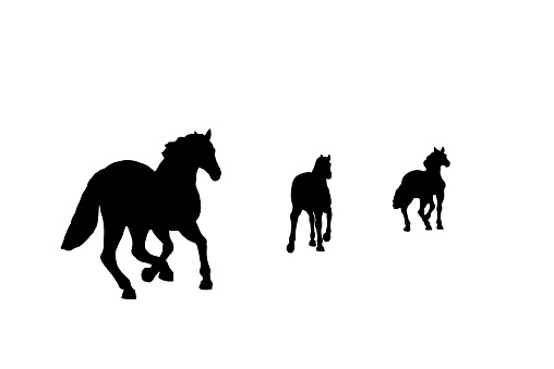 Running horses silhouettes ,isolated on white background.