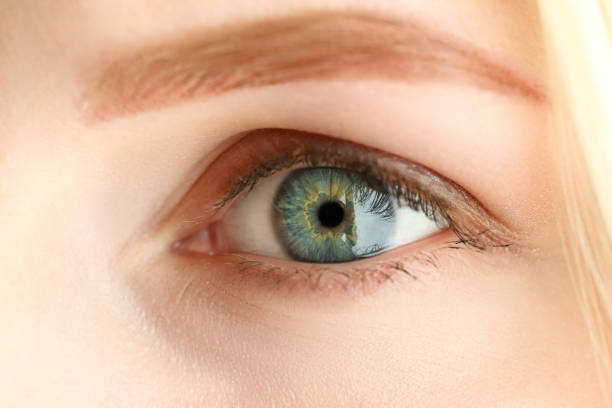 istock Female left grey green coloured amazing eye 1355824821
