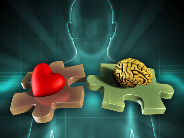 Life balance Human figure on background, with an heart and a brain on two matching puzzle pieces. Digital illustration. in the center stock pictures, royalty-free photos & images