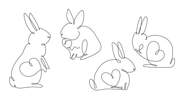 illustrations, cliparts, dessins animés et icônes de lapin - long ear