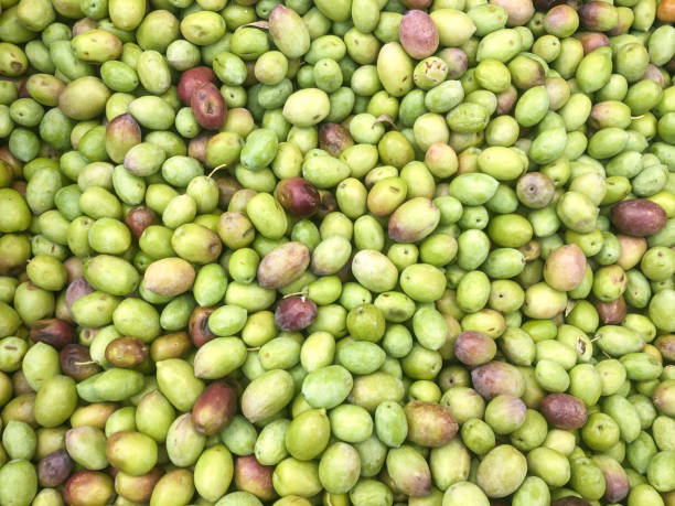 istock ripe green olive fruits as a background 1355832753