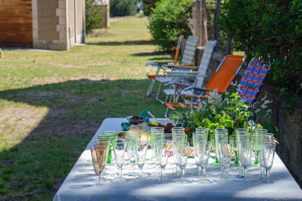 istock Table served with food and drinks in a spacious park with lounge chairs 1355843968