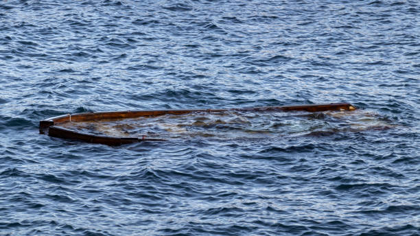 istock A wooden boat sank. 1355846729