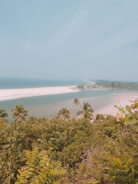 istock Relaxing beach view with blue water and sky 1355846919