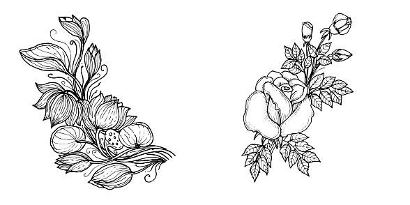 Wildflower line art set. Flower doodle botanical collection. Herbal and meadow plants, grass. Vector illustration isolated on white background. Chamomile, clover, daisy simple hand drawn elements.