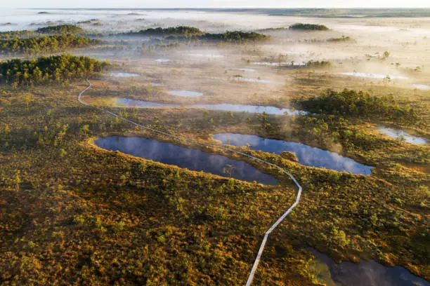 An aerial view of a hiking trail through a marsh with bog lakes during a sunrise in Soomaa National Park, Estonia, Northern Europe.