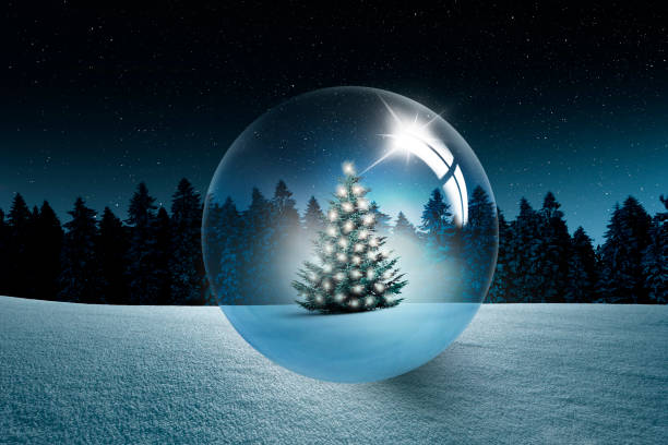 Christmas tree in a snow globe in the fir forest