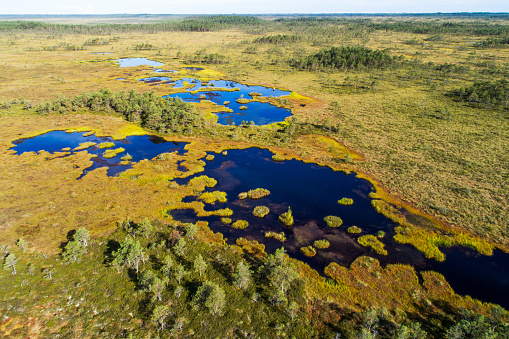 Soomaa National Park. An aerial view of Valgesoo bog lakes in the daylight in Estonian nature, Northern Europe.