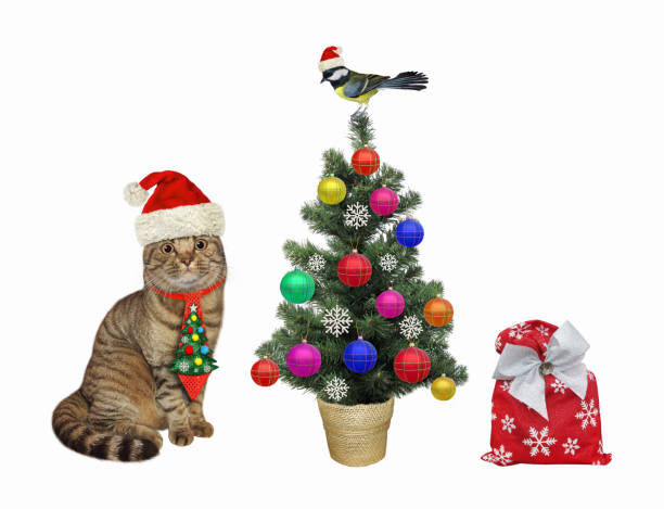 istock Cat in holiday tie near Christmas tree 1355860866