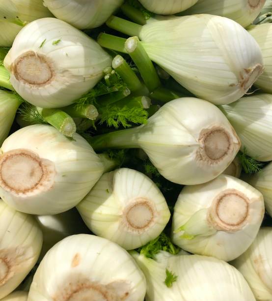 istock Pile of fresh fennel 1355861036