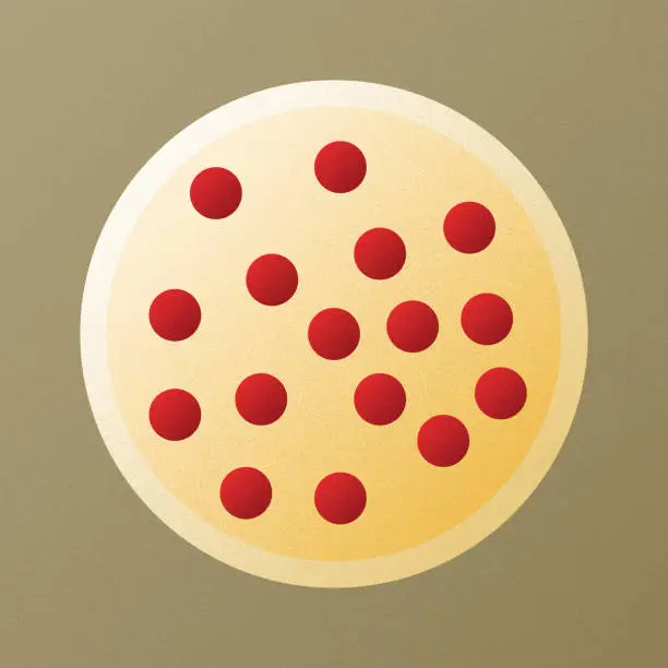 Vector illustration of Pepperoni pizza vector