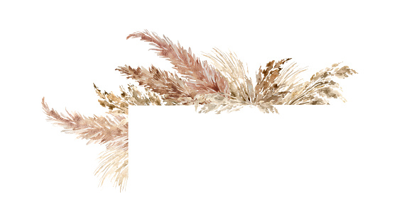 Pampas grass corner border painted in watercolor. Boho floral neutral colors frame. Botanical boho elements isolated on white. Bohemian style wedding invitation, greeting, card, stickers, scrapbooking