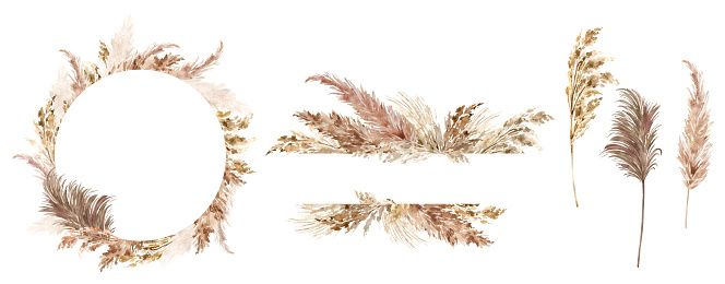 Pampas grass set painted with watercolor. Boho floral neutral colors frame. Botanical boho elements isolated on white. Bohemian style wedding invitation, greeting, card, stickers, scrapbooking
