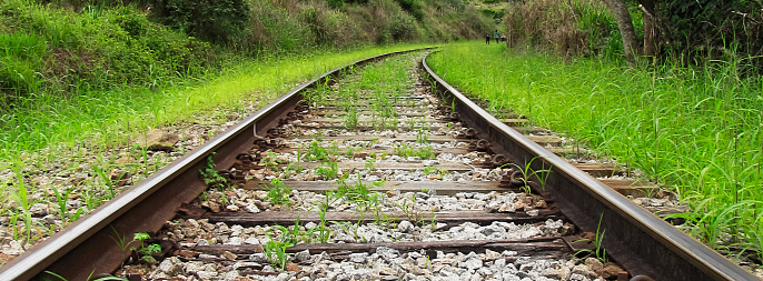 curve in the railroad tracks converging to the horizon among the undergrowth - GUARAREMA, SAO PAULO, BRAZIL.