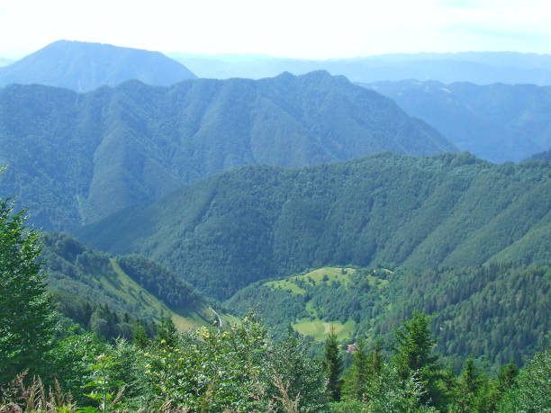 paesaggio con montagne ricoperte di foresta verde. panorama montano - 15796 foto e immagini stock