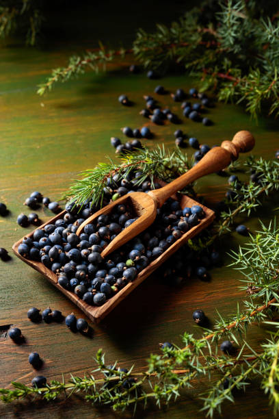istock Wooden bowl with seeds of juniper. 1355883940