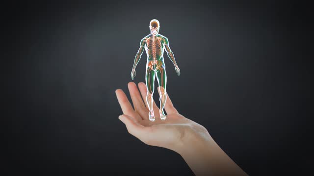 Augmented Reality Technology and Medicine