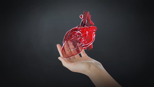 Augmented Reality Technology and Cardiology