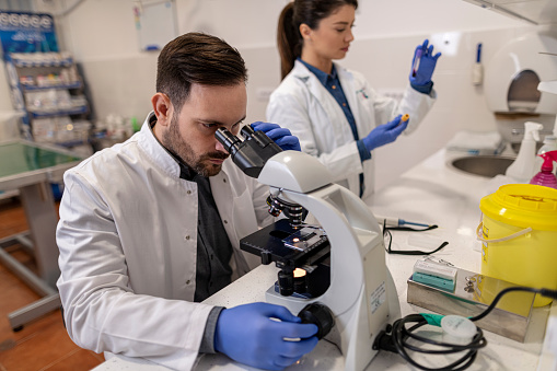 Male vet examining sample through microscope