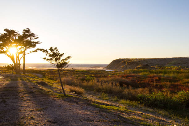 istock Northern California sun peaking through tree branches while setting over the Pacific Ocean with marshland. 1355889842