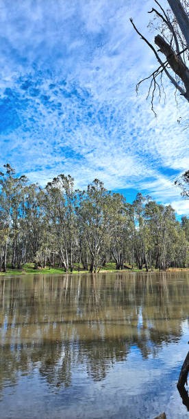 istock Barmah, Victoria, Australia 1355891885