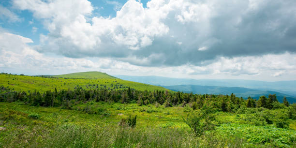 istock idyllic mountain landscape at high noon 1355891974