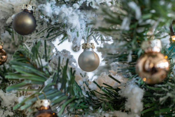 istock Holly Christmas decoration ornaments on christmas tree 1355892949
