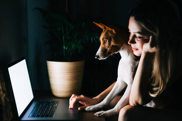 istock Young caucasian woman using laptop computer at the night at home, browse internet or communicate with friends, sitting on armchair with her curious cute dog. 1355899783