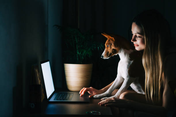 istock Young caucasian woman using laptop computer at the night at home, browse internet or communicate with friends, sitting on armchair with her curious cute dog. 1355899808