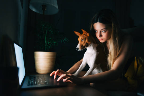 istock Young caucasian woman using laptop computer at the night at home, browse internet or communicate with friends, sitting on armchair with her curious cute dog. 1355900049