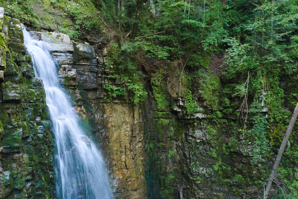 istock Waterfall on mountain river with white foamy water falling down from rocky formation in summer forest. 1355901815