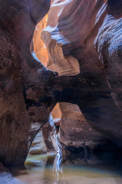 istock Inside the slot canyon at American Southwest 1355902635