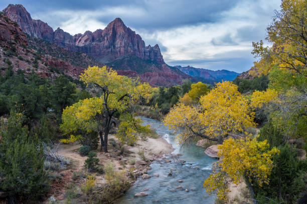 istock Classic Zion view at early cloudy fall morning 1355902648