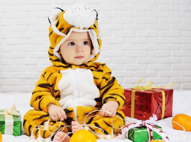 funny baby in a striped tiger costume on a background of tangerines, christmas gifts and garlands. year of the tiger - orange wall imagens e fotografias de stock