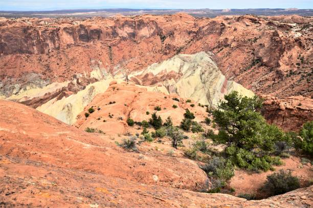 istock Upheaval Dome in Canyonlands NP 1355903972