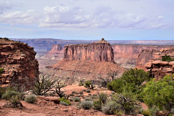 istock Large Butte in Canyonlands NP 1355904813
