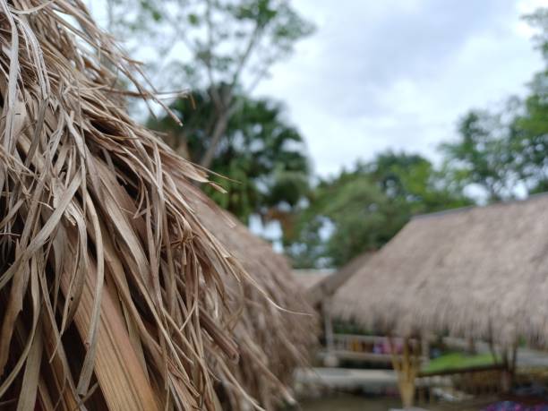 istock Roof from dry coconut leaf 1355904850